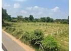 Explore Affordable Plots for Sale in Vadodara