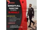 Best Digital Marketing Company in Mohali!