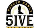 Best Pole Dancing Agency in Puerto Banus - 5ive Banus