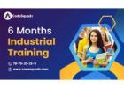 CodeSquadz: Expert-Led 6 Months Industrial Training Program