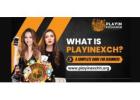 Playinexch: The Trusted Destination for Exciting Games and Big Wins!