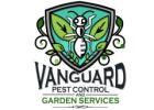 Expert Solutions in Rodent Control Melbourne by Vanguard Eco Solutions