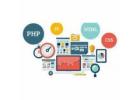 Choose Best Web Development Company in Delhi for Business Growth