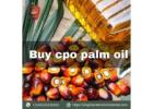 CPO Palm Oil Online