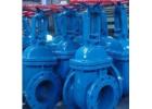 Rising Stem Gate Valve suppliers in UAE