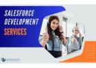 Salesforce Development Services