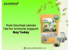 Pure Soursop Leaves Tea for Immune Support – Buy Today