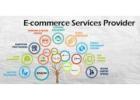 Invoidea offers Ecommerce Service Provider in Delhi