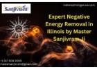 Expert Negative Energy Removal in Illinois by Master Sanjivram Ji