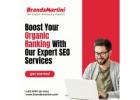 Boost Your Organic Ranking With Our Expert SEO Services